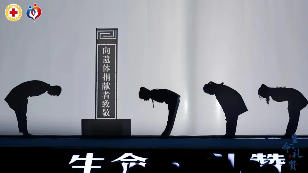 图片 16