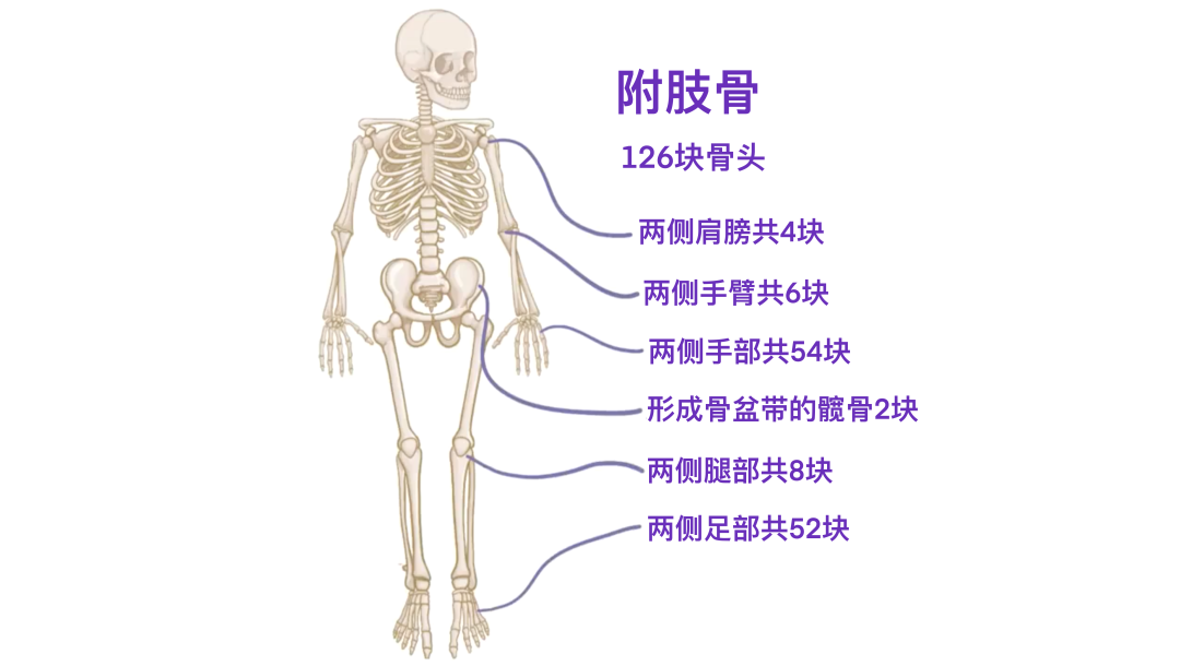 descript
