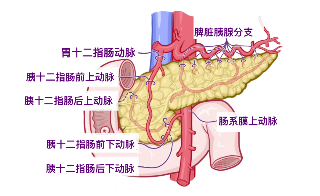 descript