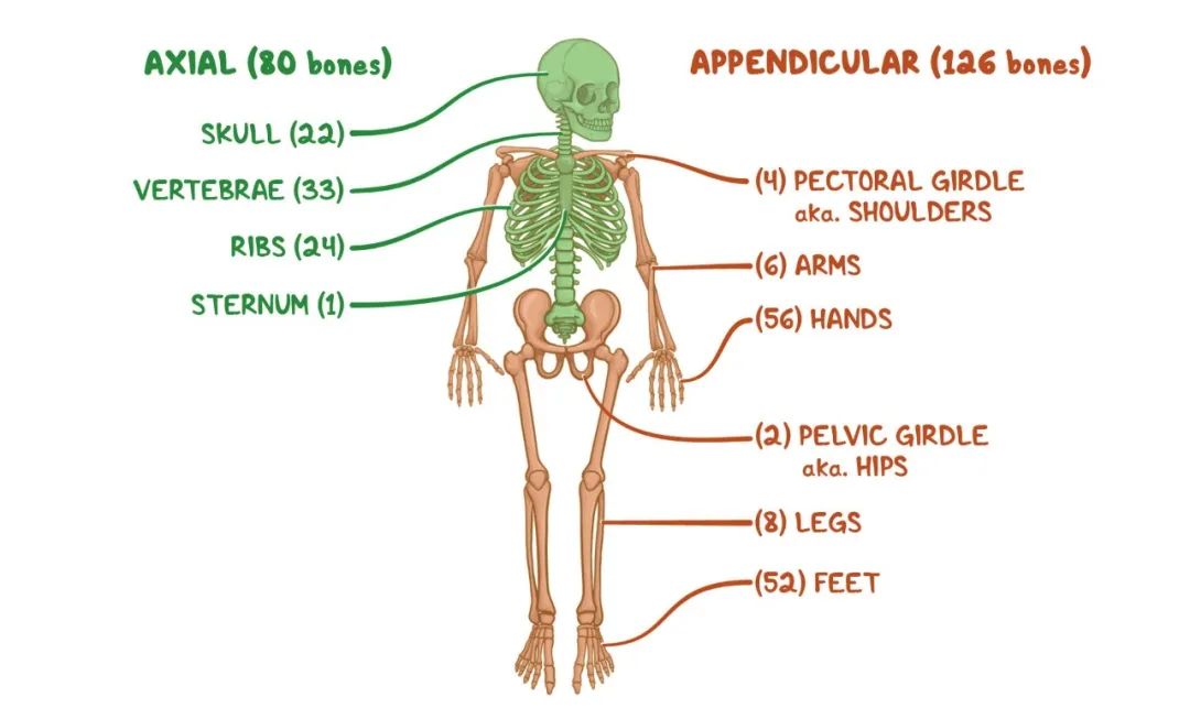 descript