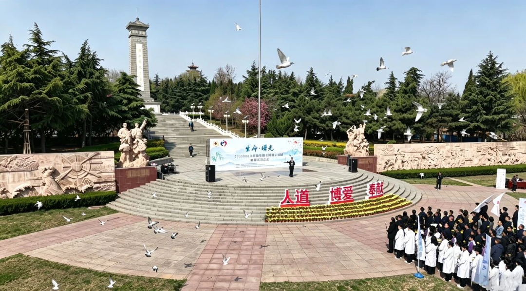 8e003ec185ee996822ee1e88929cb2fe4eed0986