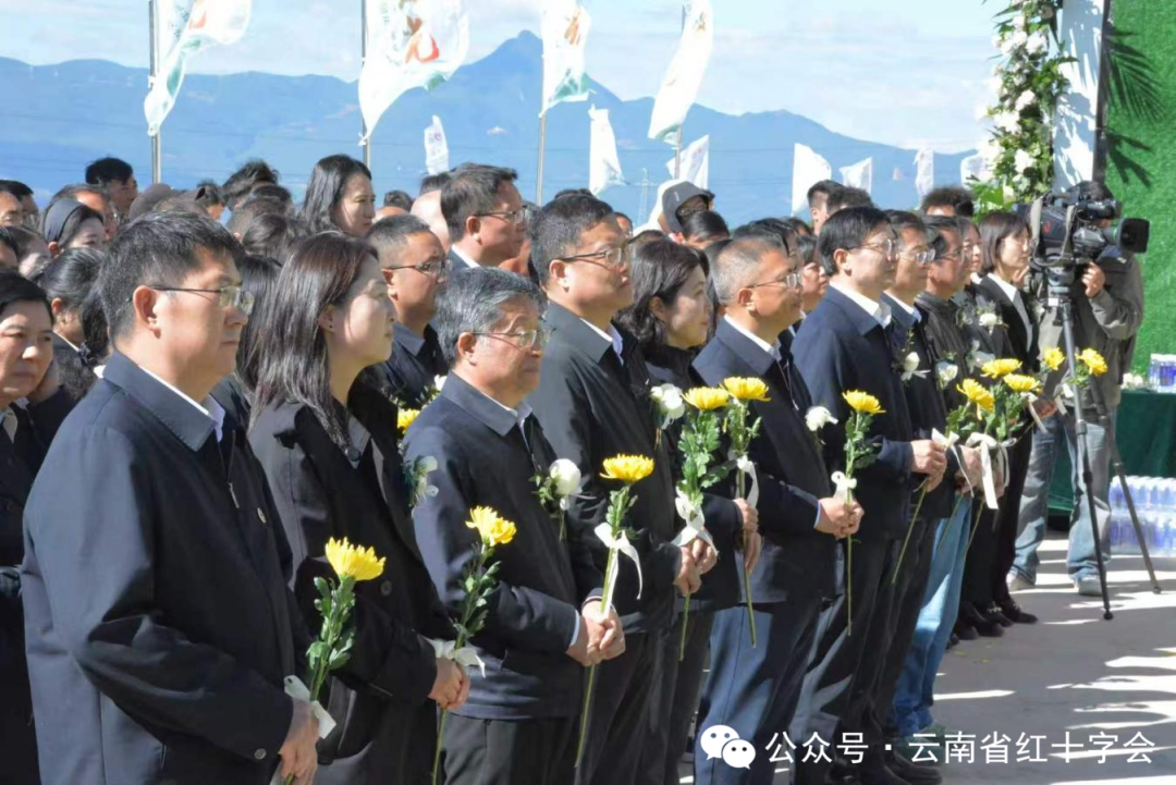 66687856533a18812d085ebb06023ad9a834ffc3