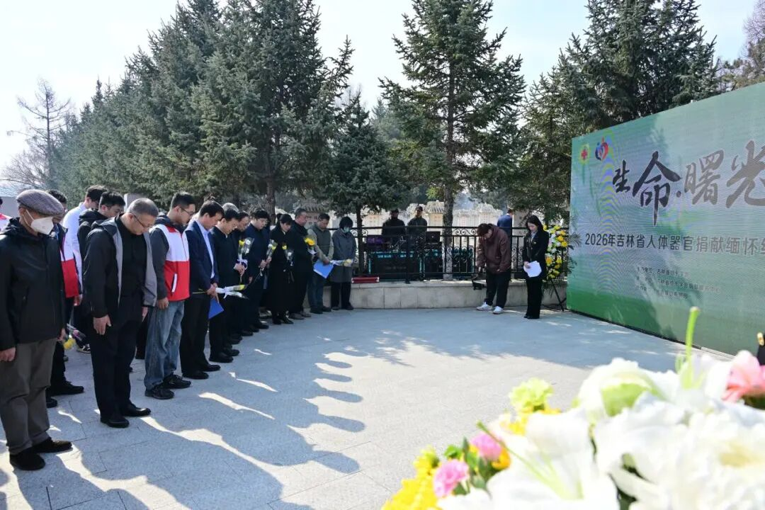 cc1dadb0de217f3e13ad7f18fc8dadcbd8764870